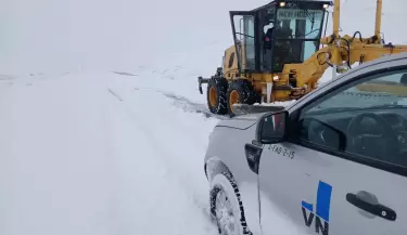 nieve