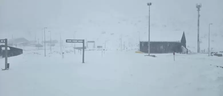 nieve