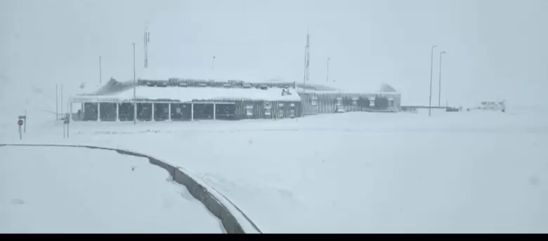 nieve