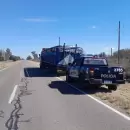 La Policía Rural frustró un traslado irregular de ganado en General Alvear