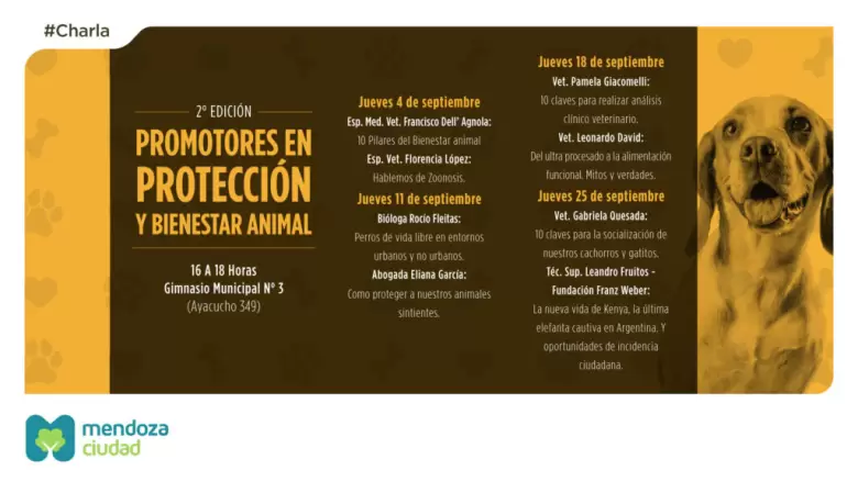 mascotas