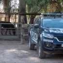 Decomisaron m�s de 115 kilos de carne y clausuraron un trozadero clandestino