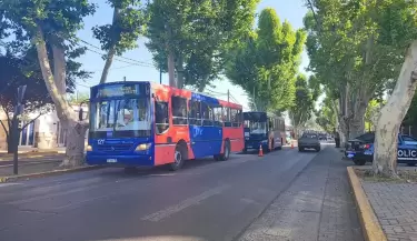 colectivo