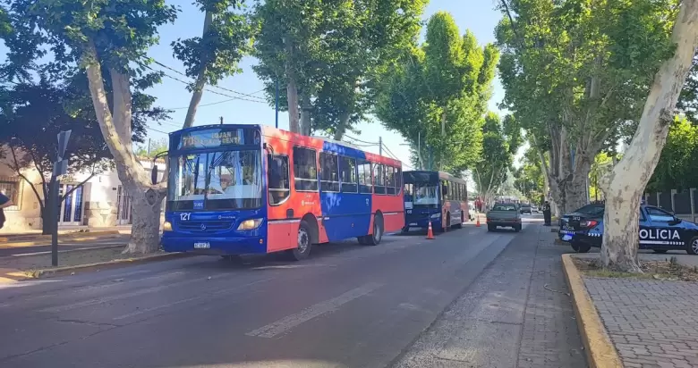 colectivo