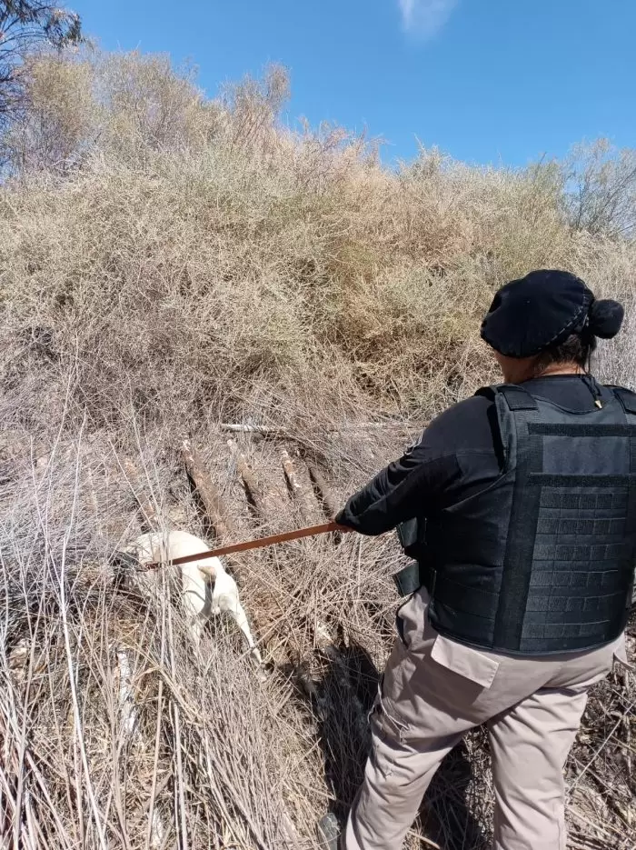 fito perro polic�a