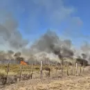 (Video) Evacuaciones y caos vehicular por un importante incendio en Luj�n de Cuyo