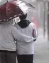 la favorita