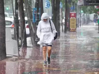 Temporal Mendoza