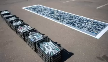Celulares