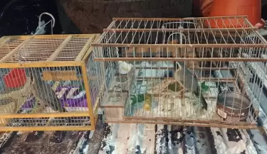 La Polic�a Rural de Mendoza desactiv� robos y protegi� fauna silvestre