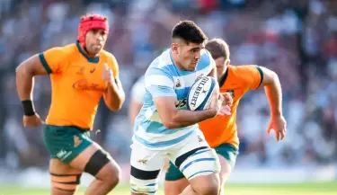 los pumas