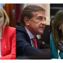 C�mo votaron los senadores por Mendoza el rechazo al veto de Milei a la emergencia en Discapacidad