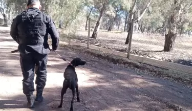 Perro polic�a