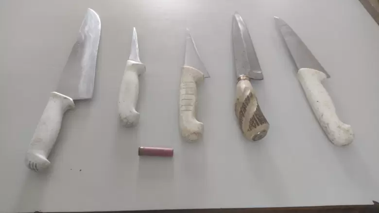 allanamiento por un crimen en San Martin