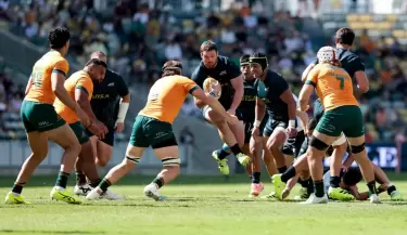 los pumas