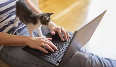 Empleos