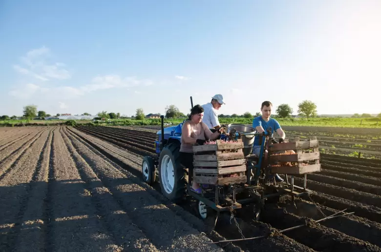 agricultura