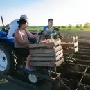 La economía de Mendoza creció 1,6% en 2025 y mostró una recuperación frente al año anterior