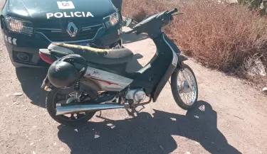Perro nol