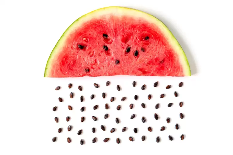 sandia