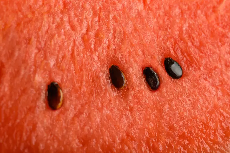 sandia