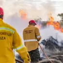 (Video) Controlaron un incendio que afect� a miles de hect�reas en San Rafael