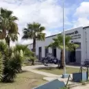Un �rbol cay� en San Mart�n y dej� herida a una adolescente de 13 a�os