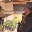 Gendarmería detuvo a otro prófugo de la red de deliveries de drogas del Gran Mendoza