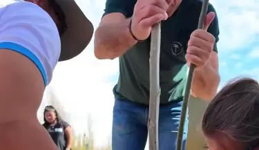 Tunuy�n realiz� una jornada de forestaci�n, con amplia participaci�n vecinal