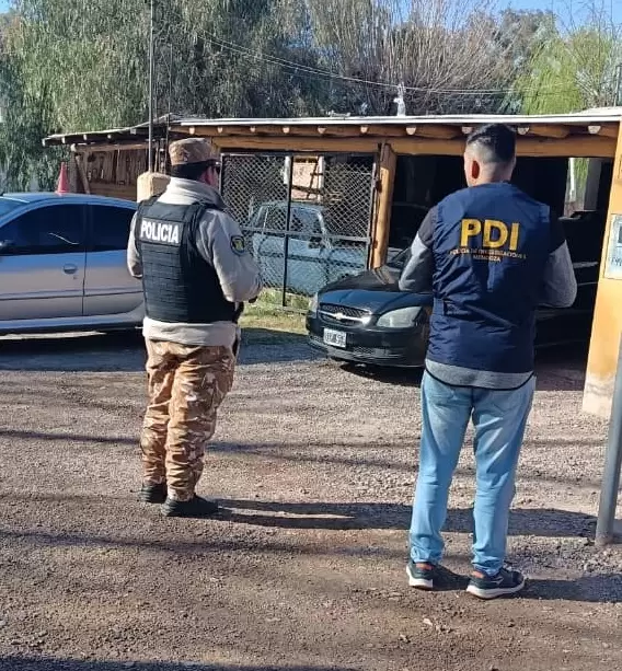 abigeato en Junín