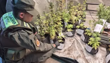 droga
