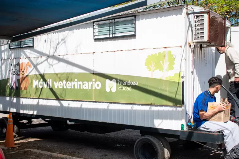 castraci�n movil veterinario