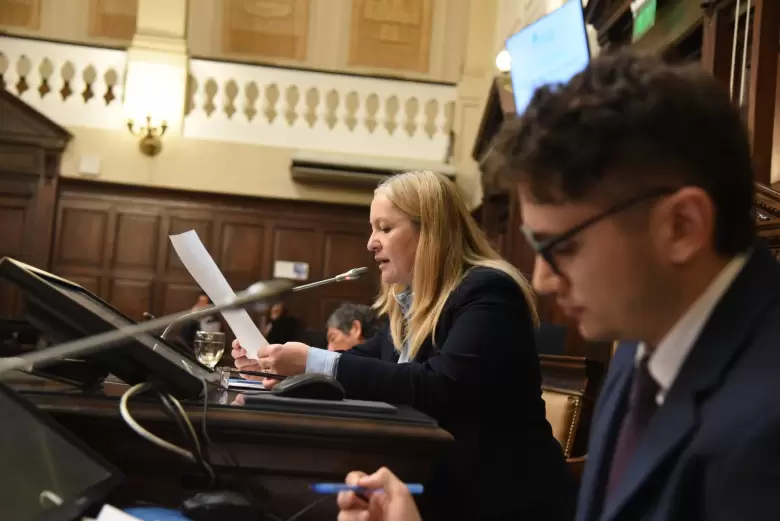 senado mendoza