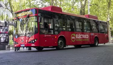 Colectivo STM