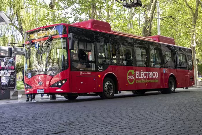 Colectivo STM