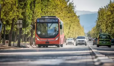 Colectivo STM