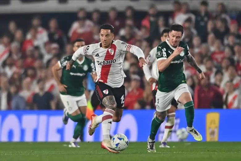 river - palmeiras