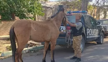 caballo