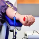 Se profundiza la crisis de donantes de sangre en Argentina y alertan por su impacto en la salud p�blica
