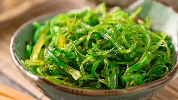 Alga undaria