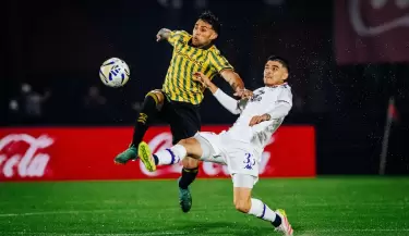 tigre aldosivi