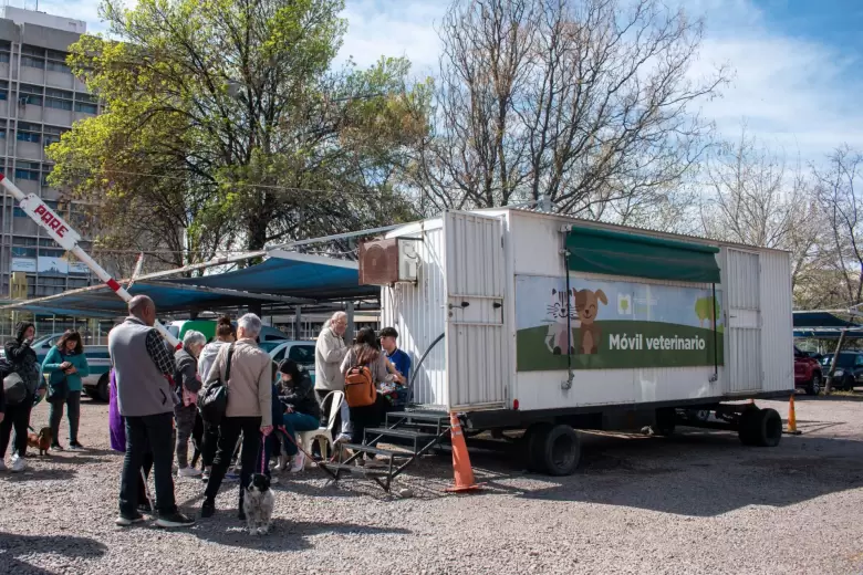 Atención veterinaria