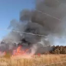 (Video) Un importante incendio afect� una zona urbana de Guaymall�n