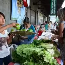 Mendoza celebrar� el D�a Mundial del Vegetarianismo en el Parque Central