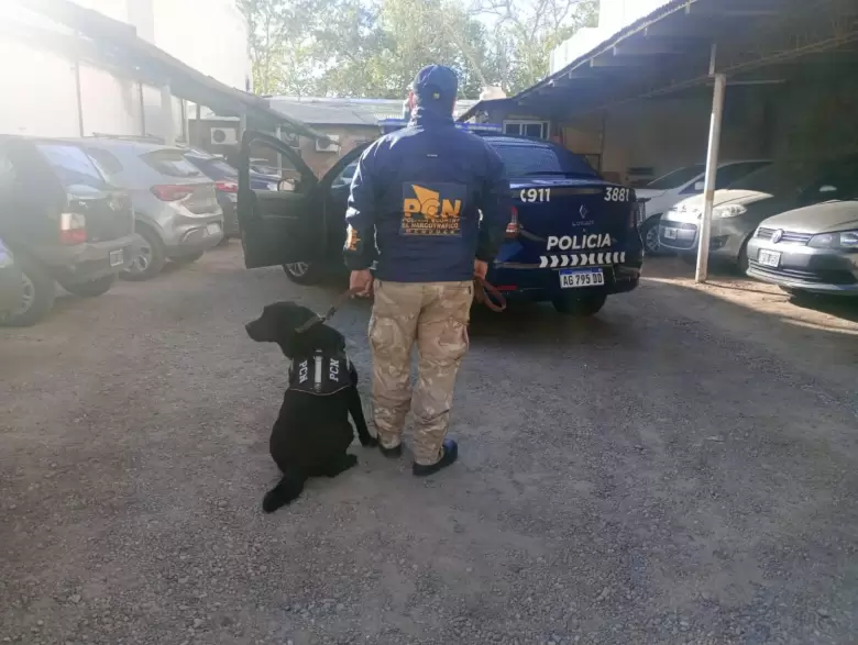 narco san rafael