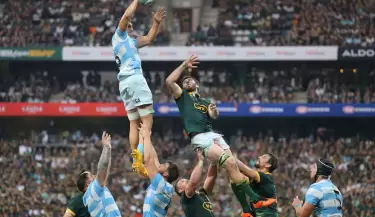 los pumas