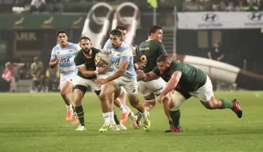 los pumas