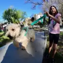 La plaza Biritos de Godoy Cruz estren� un �rea canina renovada y m�s opciones recreativas