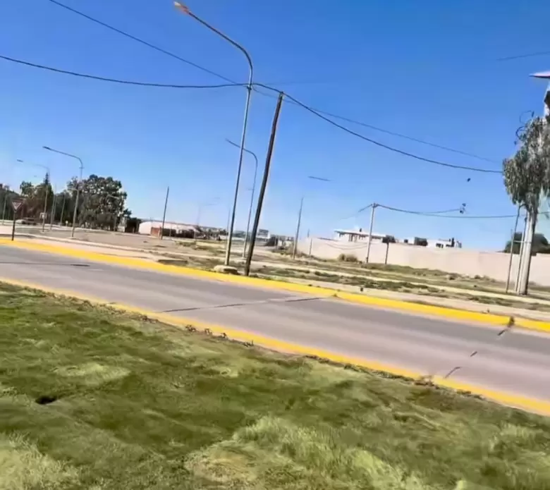 Regalado Olguin