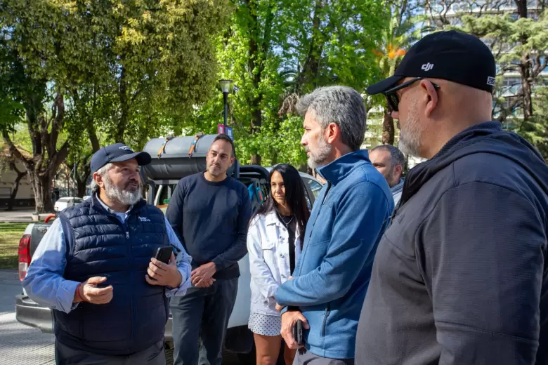 Drones para la pulverización del arbolado